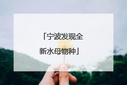 宁波发现全新水母物种