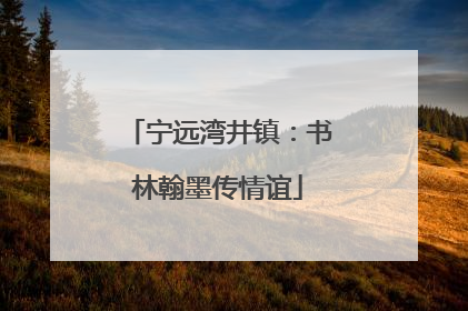 宁远湾井镇：书林翰墨传情谊