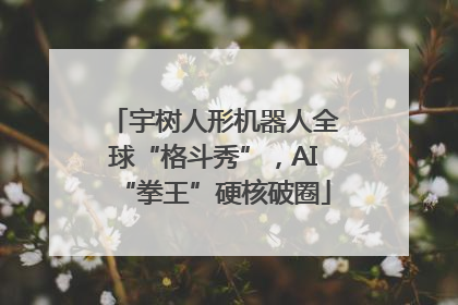 宇树人形机器人全球“格斗秀”，AI“拳王”硬核破圈