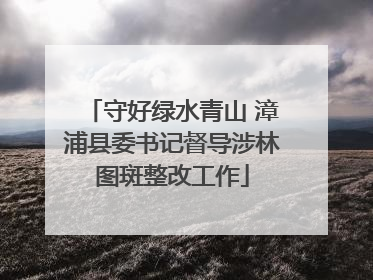 守好绿水青山 漳浦县委书记督导涉林图斑整改工作