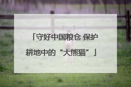 守好中国粮仓 保护耕地中的“大熊猫”