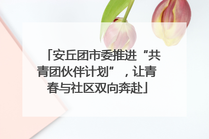 安丘团市委推进“共青团伙伴计划”，让青春与社区双向奔赴
