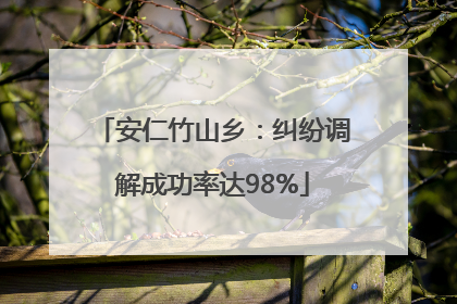 安仁竹山乡：纠纷调解成功率达98%