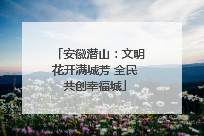 安徽潜山：文明花开满城芳 全民共创幸福城
