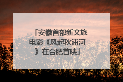 安徽首部新文旅电影《风起秋浦河》在合肥首映
