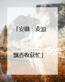 安徽：麦浪飘香收获忙
