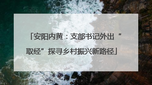 安阳内黄：支部书记外出“取经”探寻乡村振兴新路径