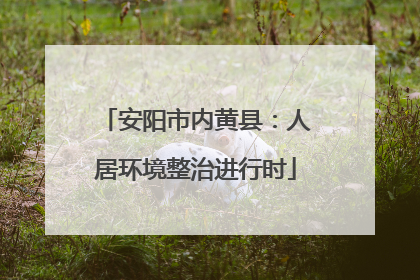 安阳市内黄县：人居环境整治进行时