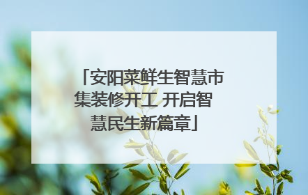 安阳菜鲜生智慧市集装修开工 开启智慧民生新篇章