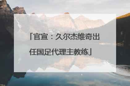 官宣：久尔杰维奇出任国足代理主教练