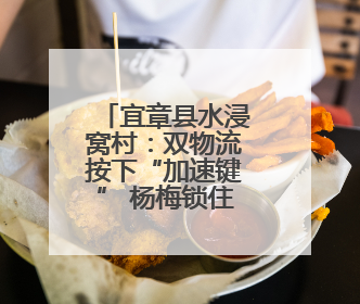 宜章县水浸窝村：双物流按下“加速键” 杨梅锁住“枝头鲜”