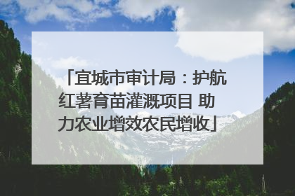 宜城市审计局：护航红薯育苗灌溉项目 助力农业增效农民增收