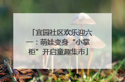 宜园社区欢乐迎六一：萌娃变身“小掌柜”开启童趣集市