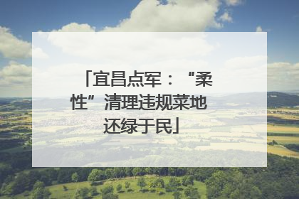 宜昌点军：“柔性”清理违规菜地 还绿于民