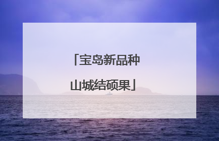 宝岛新品种 山城结硕果