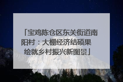 宝鸡陈仓区东关街道南阳村：大棚经济结硕果 绘就乡村振兴新图景