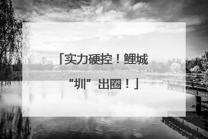 实力硬控！鲤城“圳”出圈！