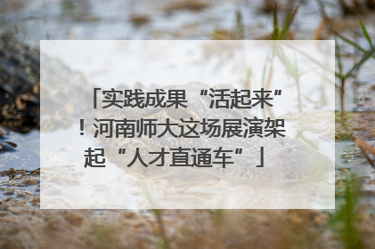 实践成果“活起来”！河南师大这场展演架起“人才直通车”