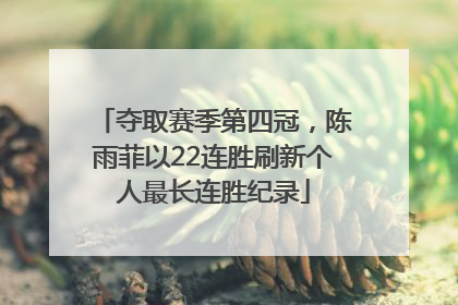 夺取赛季第四冠，陈雨菲以22连胜刷新个人最长连胜纪录