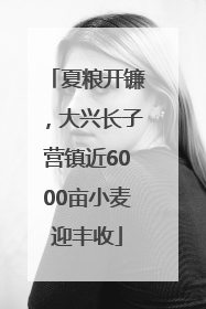 夏粮开镰，大兴长子营镇近6000亩小麦迎丰收