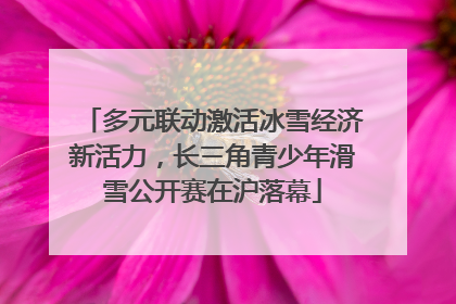 多元联动激活冰雪经济新活力，长三角青少年滑雪公开赛在沪落幕