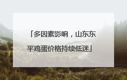 多因素影响，山东东平鸡蛋价格持续低迷