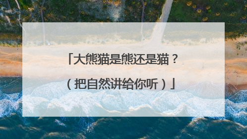 大熊猫是熊还是猫？（把自然讲给你听）