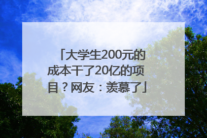大学生200元的成本干了20亿的项目？网友：羡慕了