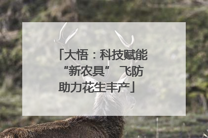 大悟：科技赋能“新农具” 飞防助力花生丰产