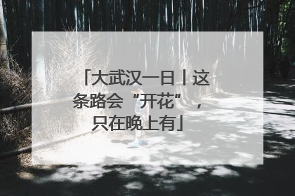 大武汉一日丨这条路会“开花”，只在晚上有