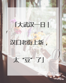 大武汉一日︱汉口老街上新，太“豆”了