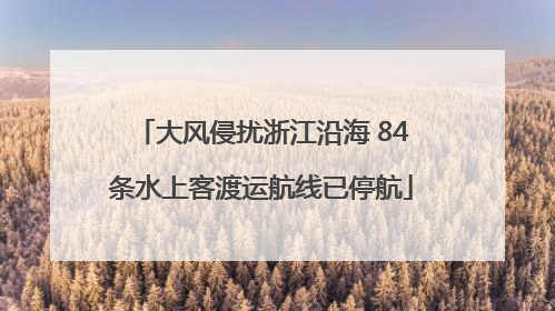 大风侵扰浙江沿海 84条水上客渡运航线已停航
