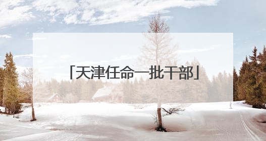 天津任命一批干部