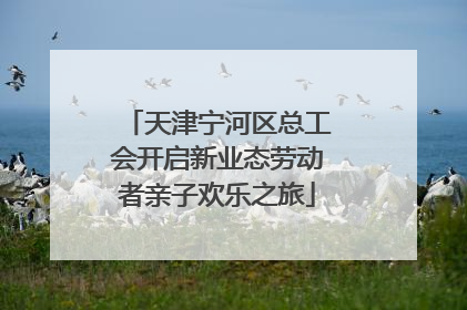 天津宁河区总工会开启新业态劳动者亲子欢乐之旅