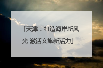 天津：打造海岸新风光 激活文旅新活力