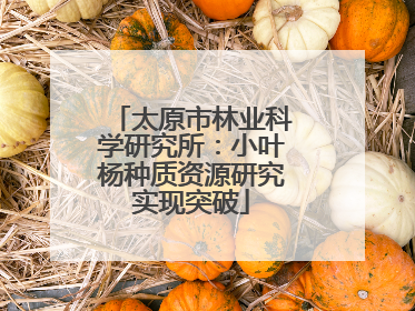 太原市林业科学研究所：小叶杨种质资源研究实现突破