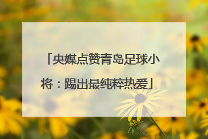 央媒点赞青岛足球小将：踢出最纯粹热爱