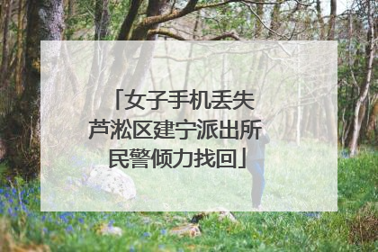 女子手机丢失 芦淞区建宁派出所民警倾力找回