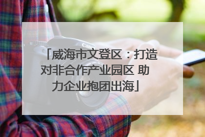威海市文登区：打造对非合作产业园区 助力企业抱团出海