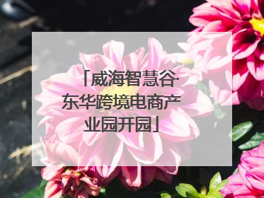 威海智慧谷·东华跨境电商产业园开园