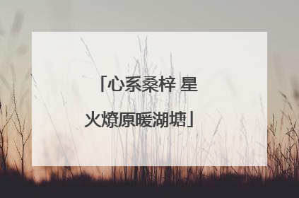 心系桑梓 星火燎原暖湖塘