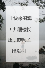 快来围观！九眼楼长城，傻狍子出没~