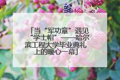 当“军功章”遇见“学士帽”——哈尔滨工程大学毕业典礼上的暖心一幕