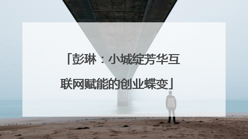 彭琳：小城绽芳华互联网赋能的创业蝶变