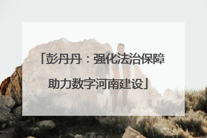 彭丹丹：强化法治保障 助力数字河南建设