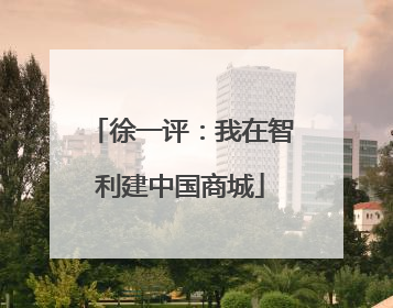 徐一评：我在智利建中国商城