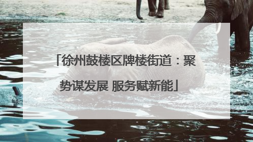 徐州鼓楼区牌楼街道：聚势谋发展 服务赋新能