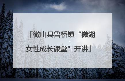 微山县鲁桥镇“微湖女性成长课堂”开讲