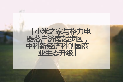 小米之家与格力电器落户济南起步区，中科新经济科创园商业生态升级