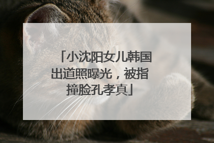小沈阳女儿韩国出道照曝光，被指撞脸孔孝真